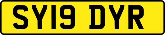 SY19DYR