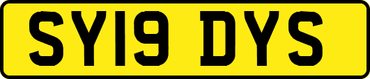 SY19DYS