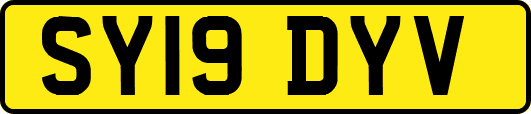 SY19DYV