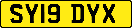 SY19DYX