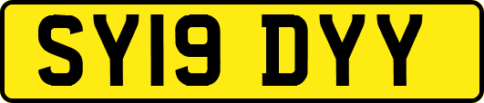 SY19DYY