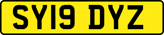 SY19DYZ