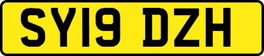 SY19DZH