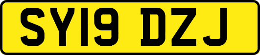 SY19DZJ