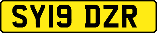 SY19DZR