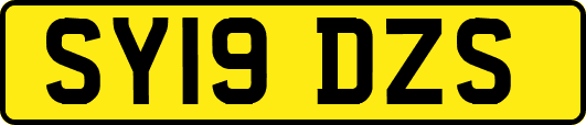 SY19DZS