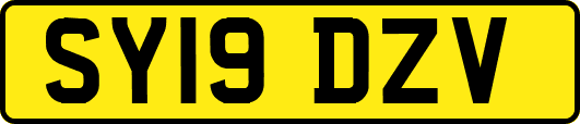 SY19DZV