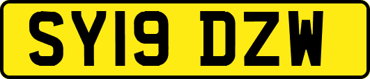 SY19DZW