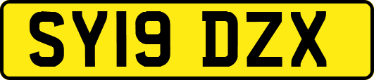 SY19DZX