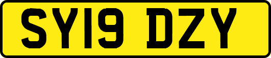 SY19DZY