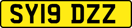 SY19DZZ