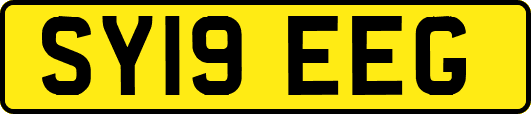 SY19EEG