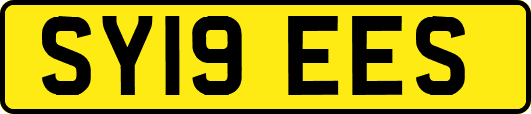 SY19EES