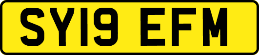 SY19EFM