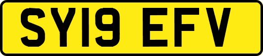 SY19EFV