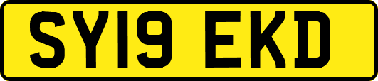 SY19EKD