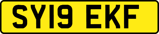 SY19EKF