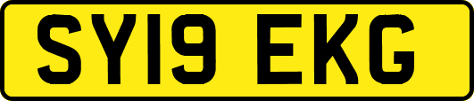 SY19EKG