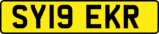SY19EKR