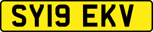 SY19EKV