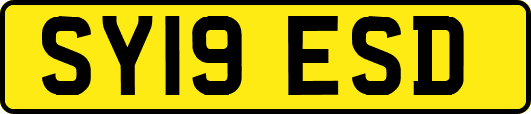 SY19ESD