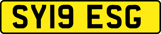 SY19ESG