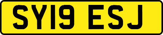 SY19ESJ