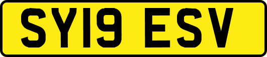 SY19ESV