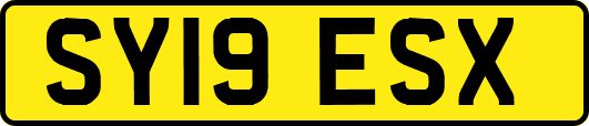 SY19ESX