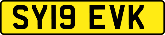 SY19EVK