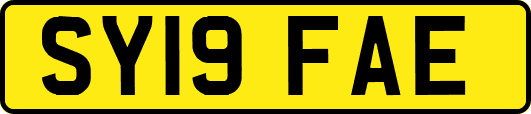 SY19FAE