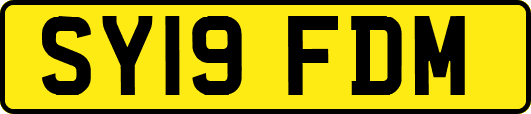 SY19FDM