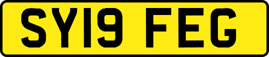 SY19FEG