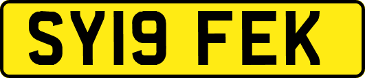 SY19FEK