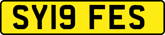 SY19FES