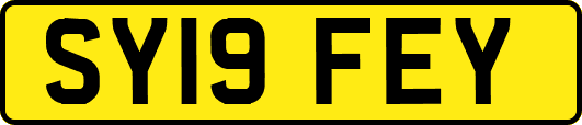 SY19FEY
