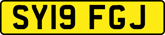 SY19FGJ