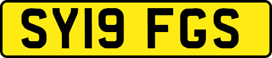 SY19FGS
