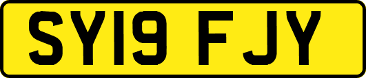 SY19FJY
