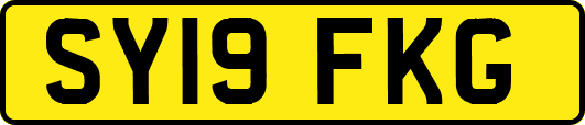SY19FKG