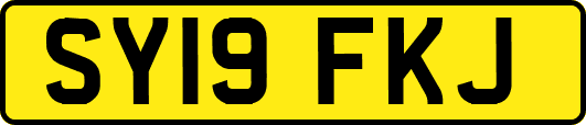 SY19FKJ