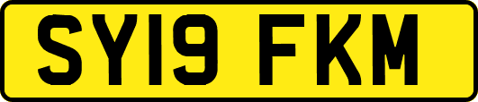 SY19FKM