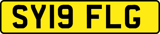 SY19FLG