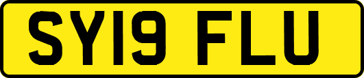 SY19FLU