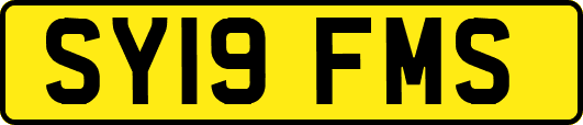 SY19FMS