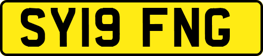 SY19FNG