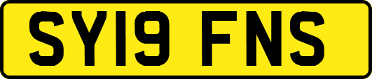 SY19FNS