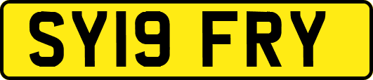 SY19FRY