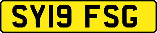 SY19FSG