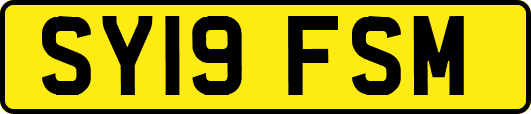 SY19FSM